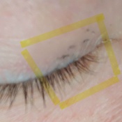 Photo submitted by Samantha