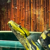 Photo submitted by Guest