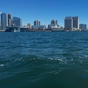 Photo submitted by Alejandra