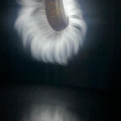 Photo submitted by Guest