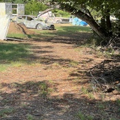 Photo submitted by Guest