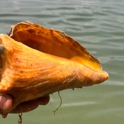 Photo submitted by Megan