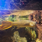 Photo submitted by Eli