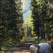 Photo submitted by Catherine