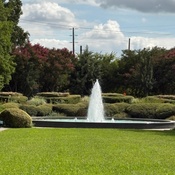 Photo submitted by Troy