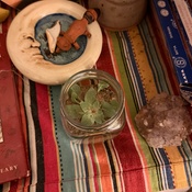 Photo submitted by Tehya