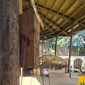 Photo submitted by Christinne