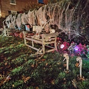 Photo submitted by Crystal