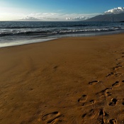 Photo submitted by Brenna