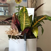 Photo submitted by Miss