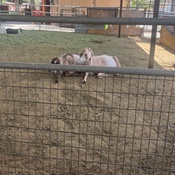 Photo submitted by Flor