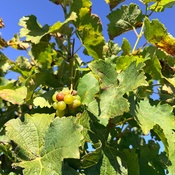 Photo submitted by Leidy