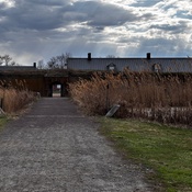 Photo submitted by Guest