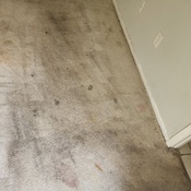 Photo submitted by Shayleen