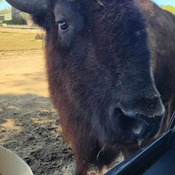 Photo submitted by Faith