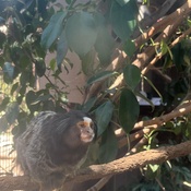 Photo submitted by Tory