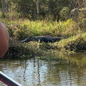 Photo submitted by Tantaneia