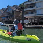 Photo submitted by Anita