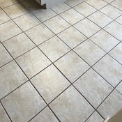 Photo submitted by Lisa