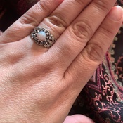 Photo submitted by Ciana