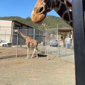 Photo submitted by Stacey