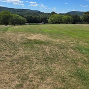 Photo submitted by Gina