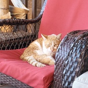 Photo submitted by Monica