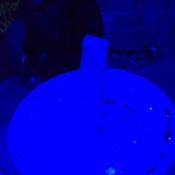 Photo submitted by Brandon