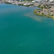 Photo submitted by Joanna