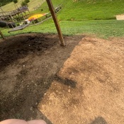 Photo submitted by Guest