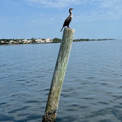 Photo submitted by Cherie