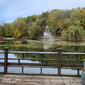 Photo submitted by Michelle