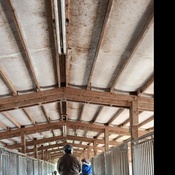 Photo submitted by Jerome