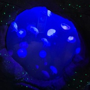 Photo submitted by Chris