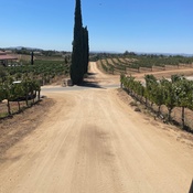 Photo submitted by Tobbi