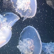 Photo submitted by Paul