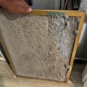 Photo submitted by Guest