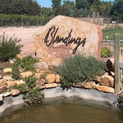 Photo submitted by susan