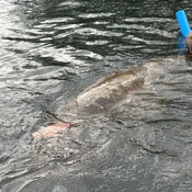 Photo submitted by Guest