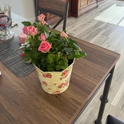 Photo submitted by Shannon