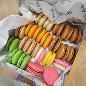 Photo submitted by Katherine