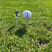 Photo submitted by Andrew