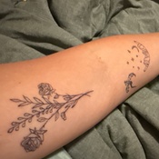 Photo submitted by Guest