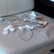 Photo submitted by Me