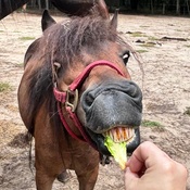 Photo submitted by pamela