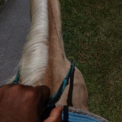 Photo submitted by Nicholas