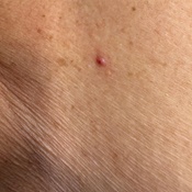 Photo submitted by Cintia