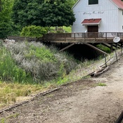 Photo submitted by Debra