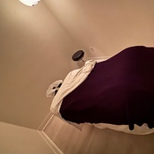 Photo submitted by C