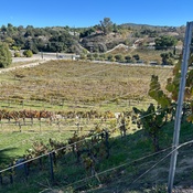 Photo submitted by tatianamhernandez